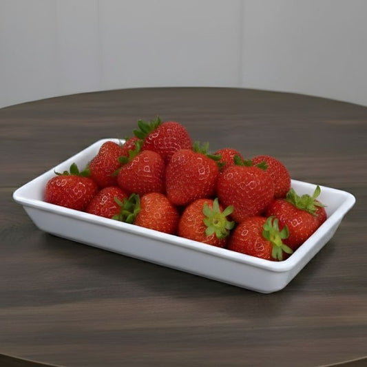 Melamine White Dish One Piece for Serving