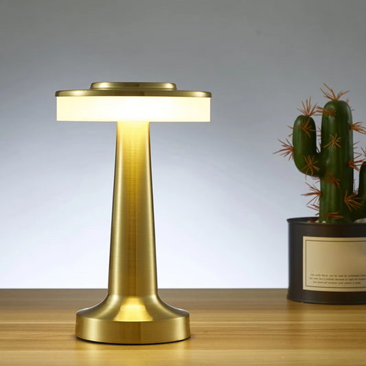 Metal Desk Lamp USB Rechargeable