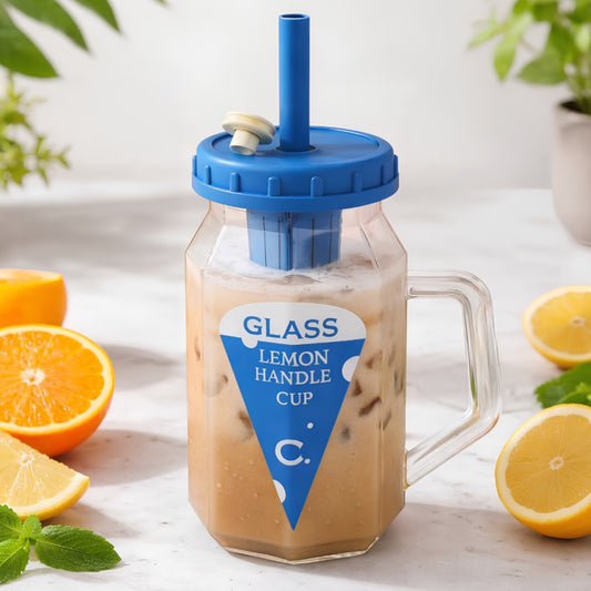 500ml Fruit Infuser Water Bottle With Handle