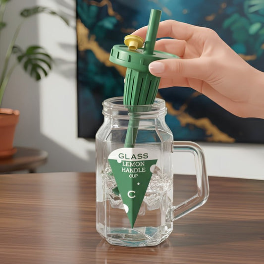 500ml Fruit Infuser Water Bottle With Handle - Homazing