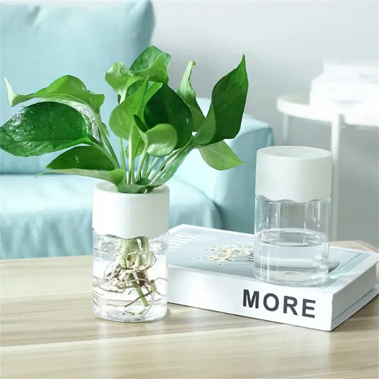 Mini Hydroponic Flower Pot Home Vase Pack Of 2