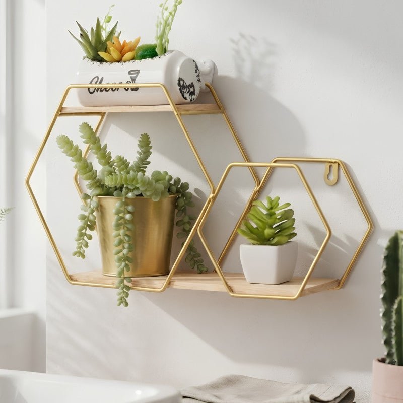 Double Layer Nordic Hexagon Wall Shelf - Homazing