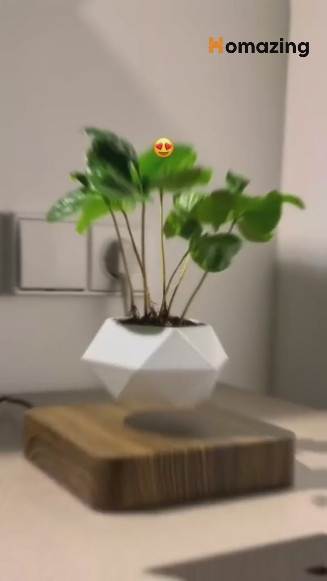 Magnetic Floating Flower Pot